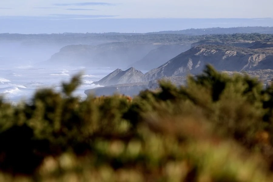 O Surf na primeira quinzena de Novembro de 2025 de Sines a Lagos