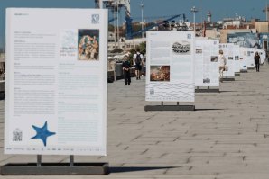 &quot;Ondas do Norte&quot;: Marginal de Matosinhos transforma-se numa galeria de surf ao ar livre