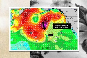 LAY DAY NO REEF HAWAIIAN PRO