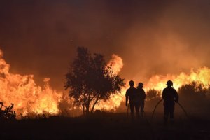 Os últimos 12 meses podem ter sido os mais quentes de que há registos