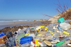 Campanha irá decorrer em 14 praias até 19 de agosto.