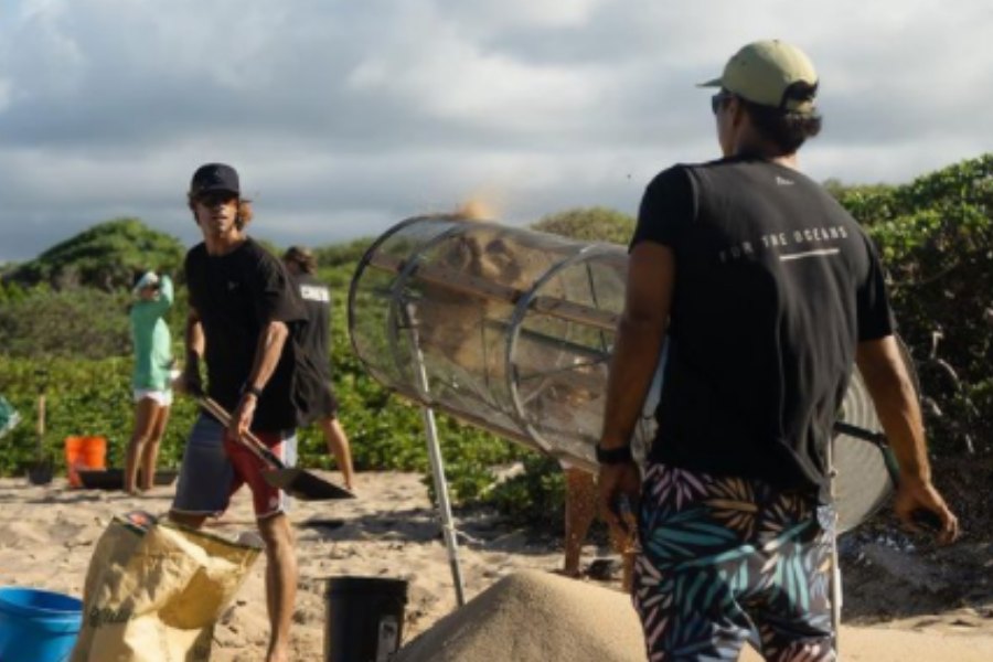 Organização sem fins lucrativos limpa microplásticos do areal da praia mais poluída do Havai