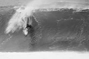 Jack Robinson, ontem, nas triagens em Pipe.