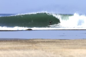 Matosinhos de gala este Sábado - 06 de Março de 2021