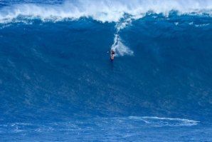 &quot;Marcio Swell&quot; - Jaws esteve ao rubro na semana passada