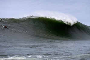 TYLER FOX: UMA DAS LENDAS DE MAVERICKS