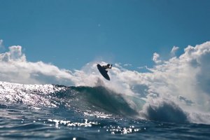 AS ONDAS PERFEITAS DAS MENTAWAI COM ASHER PACEY E MITCH PARKINSON