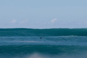 Surf nas famosas direitas da Ilha da Madeira - &quot;E tu atiravas-te?&quot;