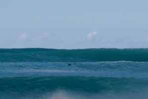 Surf nas famosas direitas da Ilha da Madeira - &quot;E tu atiravas-te?&quot;