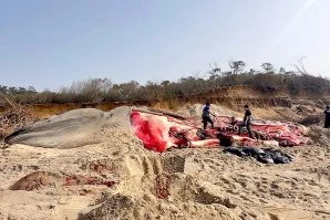 Baleia de 19,70 metros dá à Costa na Praia da Maceda