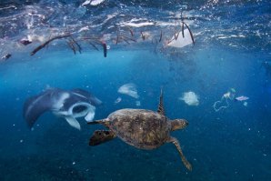 The Swim: A história da Ilha de Lixo do Pacífico