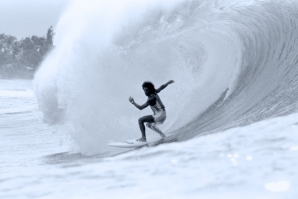 MICHAEL HO: O ‘PADRINHO’ DO NORTH SHORE