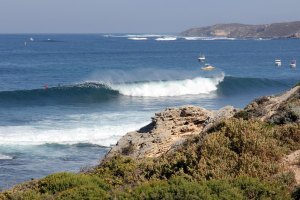 Já estão definidos os wildcards para o Rip Curl Rottnest Search