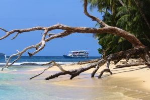 VIAGENS ÀS MENTAWAI – GONÇALO RUIVO TEM NOVO WEBSITE